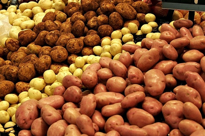 Более 600 млн рублей направят на развитие российского семеноводства картофеля