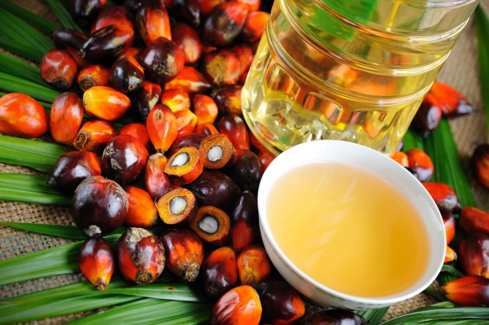 Что будет с пальмовым маслом в 2019 году?