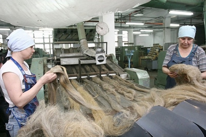 Инновационное производство по переработке льна откроют в Ивановской области