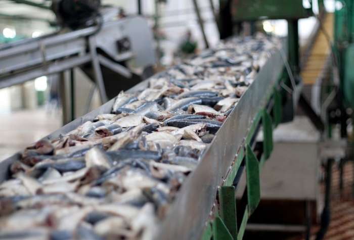 «Южно-Курильский рыбокомбинат» строит высокотехнологичное производство производство по глубокой переработке рыбы