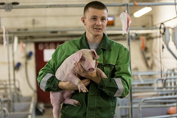 Минсельхоз России: производство продукции свиноводства за 10 месяцев текущего года увеличилось на 9,7%