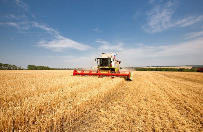 На 26 ноября в России собрано 116,1 млн тонн зерна