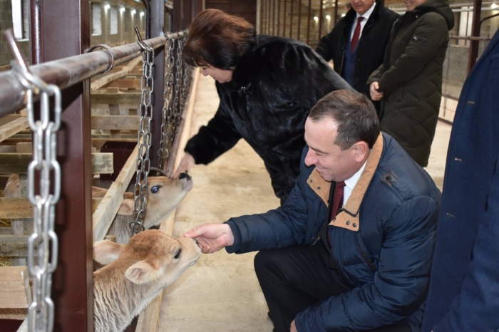 На Ставрополье открыли новую молочно-товарную ферму на 120 коров