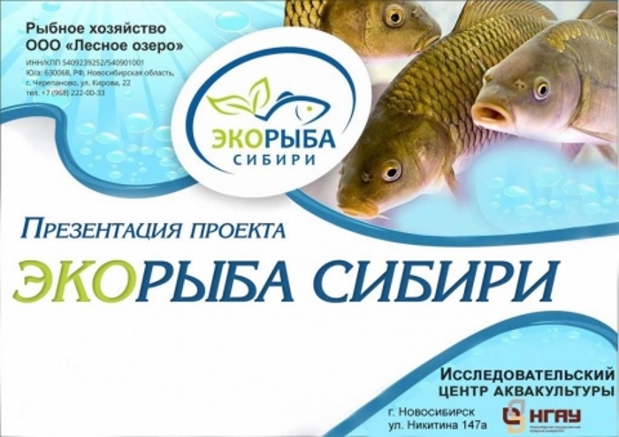 Новосибирский ГАУ презентовал проект «Экорыба Сибири»