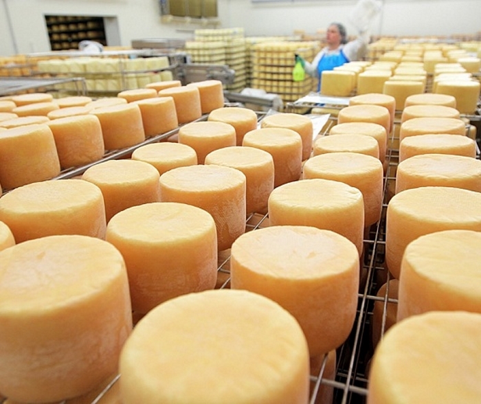 «Русагро» планирует стать одним из крупнейших производителей сыра