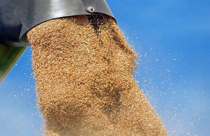 Суд закрыл из-за нарушений площадку для отгрузки зерновых на Кубани