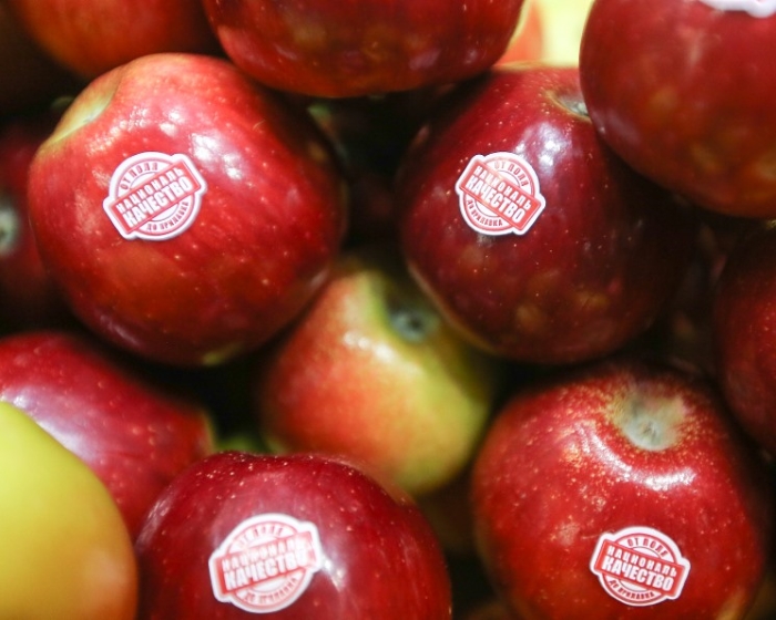 Урожай яблок может достигнуть миллиона тонн