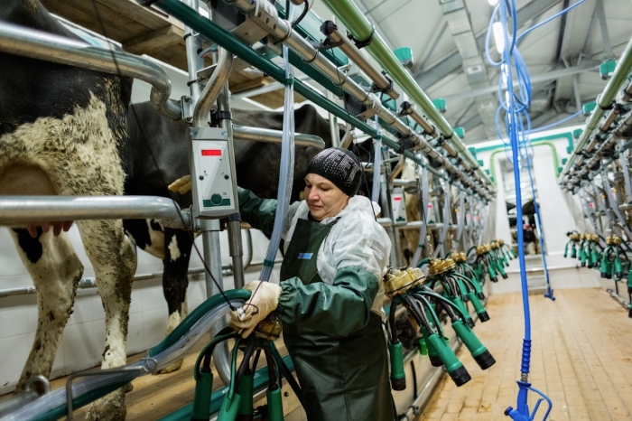 В Красноярском крае успешно реализуются проекты в области животноводства