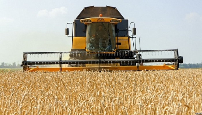 «Мираторг» почти на 30% увеличил урожай зерновых и бобовых