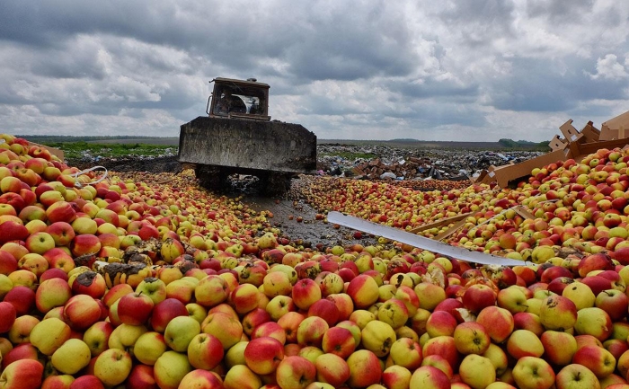 В Красноярском крае уничтожено более 1 тонны яблок из Польши