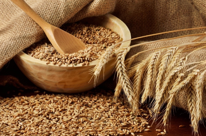 Ирак примет решение об импорте российской пшеницы через 1-2 месяца