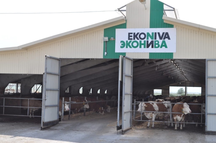 «ЭкоНива» планирует начать поставки молочной продукции в Китай