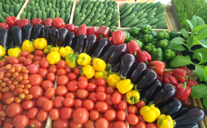 Нижегородская область планирует наращивать производство тепличных овощей