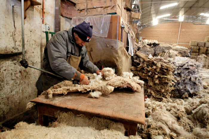 Обработка овечьей шерсти