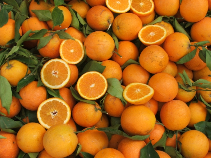Россельхознадзор не допустил ввоз 152 тонны зараженных плодовой мухой апельсинов