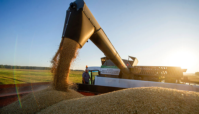 Россельхознадзор предлагает усилить контроль за экспортом зерна
