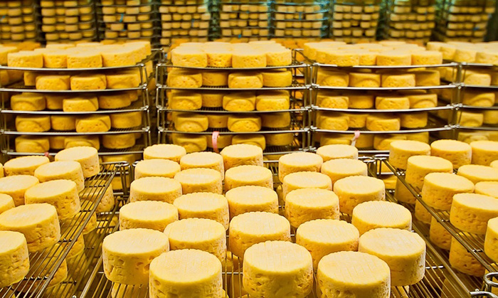 Сыроварни Мордовии произвели более 17 тысяч тонн сыра