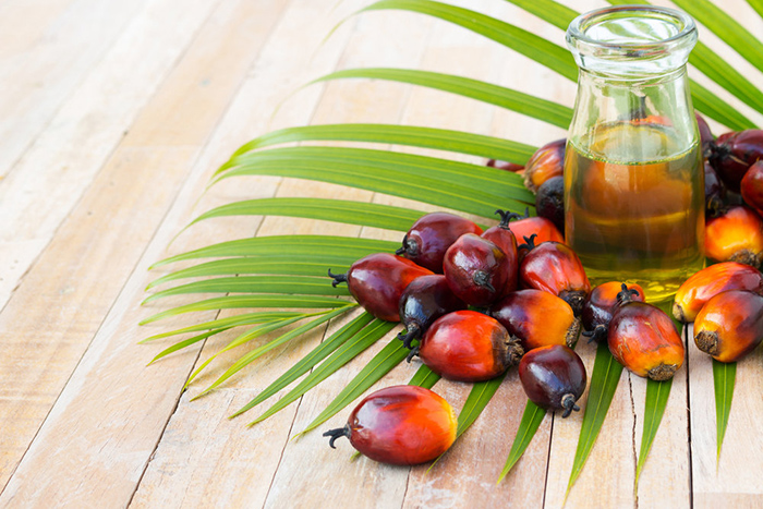 Темпы производства пальмового масла в мире замедлятся