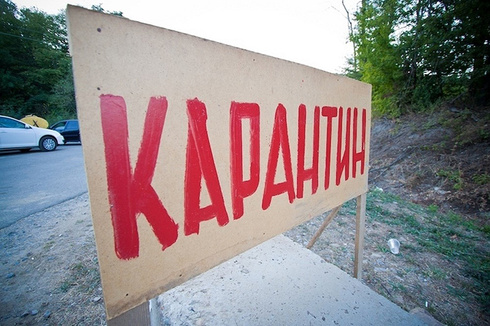 В Забайкальском крае введен карантин из-за вспышек лептоспироза