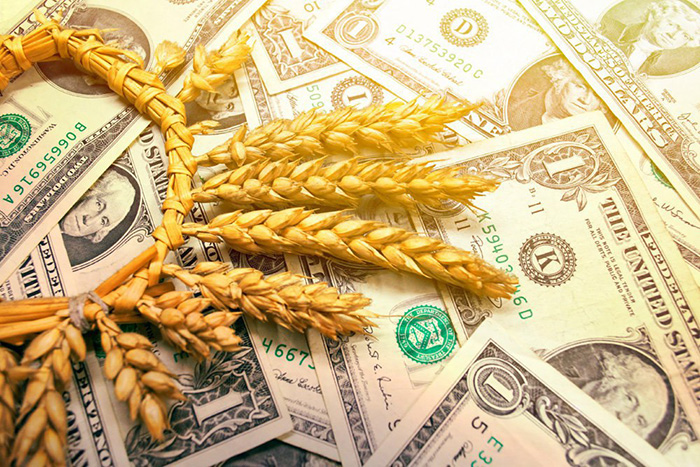 Россия стала больше экспортировать пшеницы