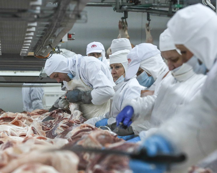 20 крупнейших компаний выпустили 2,7 млн тонн свинины
