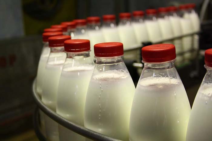 ​​Господдержка молочной отрасли: суммы большие, но есть нюансы