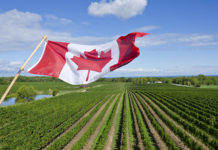 Канада расширяет финансирование аграрной отрасли