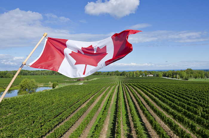Канада расширяет финансирование аграрной отрасли