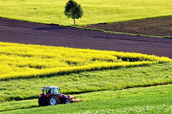 Минсельхоз дал предварительную оценку экспорта сельскохозяйственной продукции из России в 2018 году