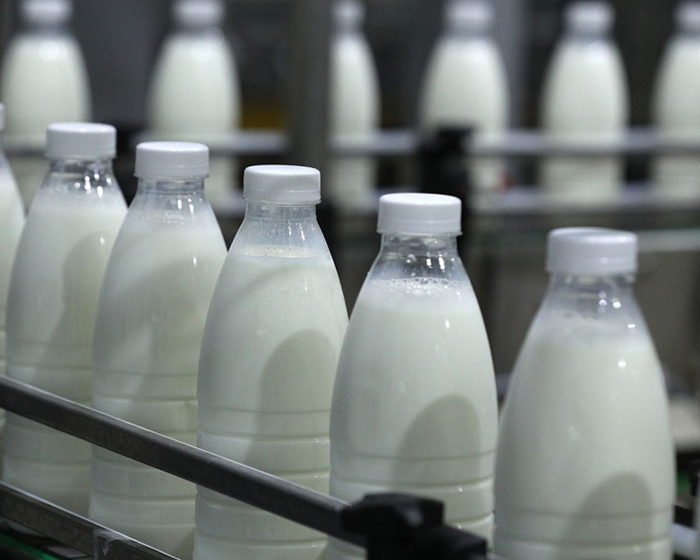 Минсельхоз прогнозирует рост молочного экспорта втрое к 2024 году