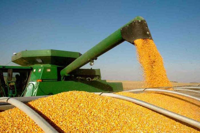 Минсельхоз сообщил о создании нового союза экспортеров зерна