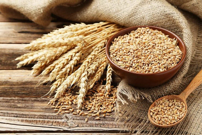 Минсельхоз ввел негласные ограничения на экспорт зерна