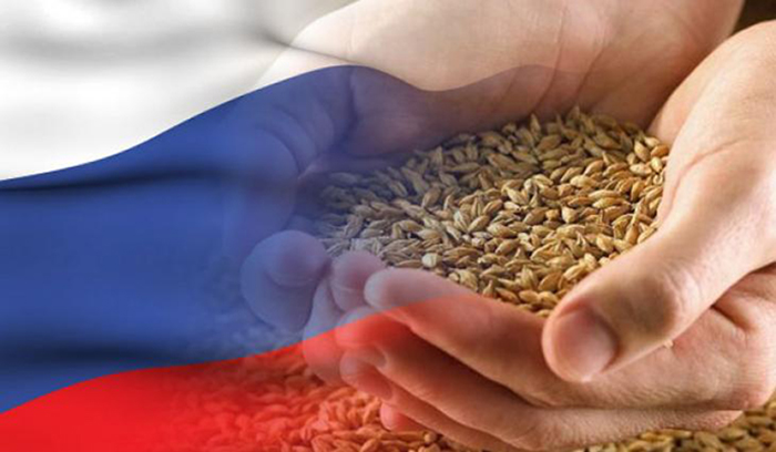 Офис Международной организации торговли зерном и кормами (GAFTA) может появиться в России
