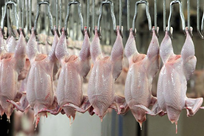Россия расширила географию поставок мяса птицы в 2018 году