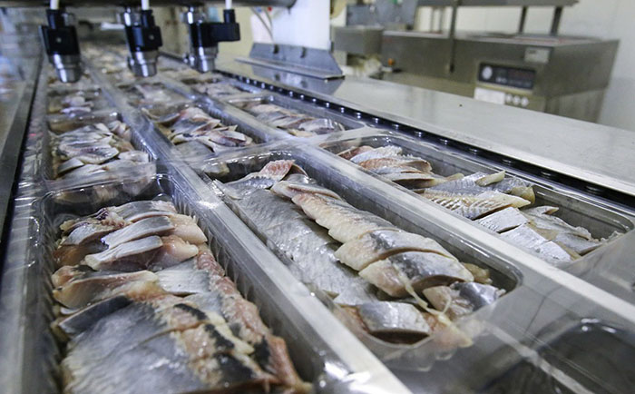 Россия запустит систему прослеживаемости рыбы и продукции растениеводства