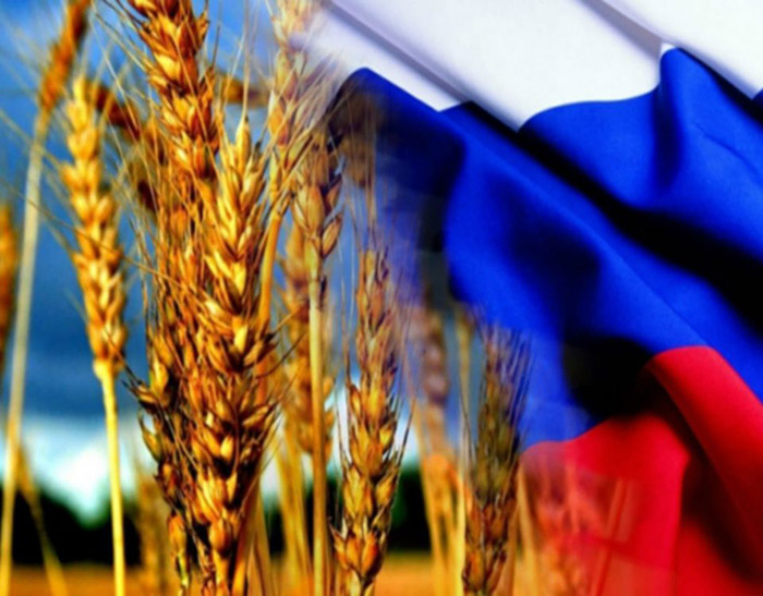 Рост цен на российскую пшеницу остановился – эксперты