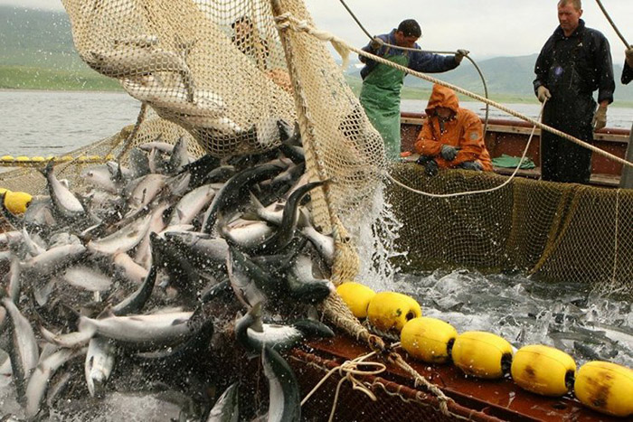 Украина подписала протокол с Россией о вылове рыбы в Азовском море