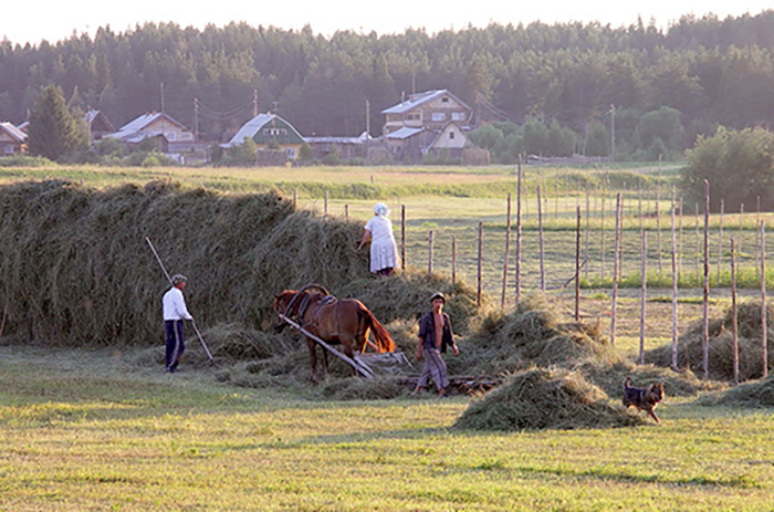 В Госдуме предложили смягчить требования к сельхозкооперациям