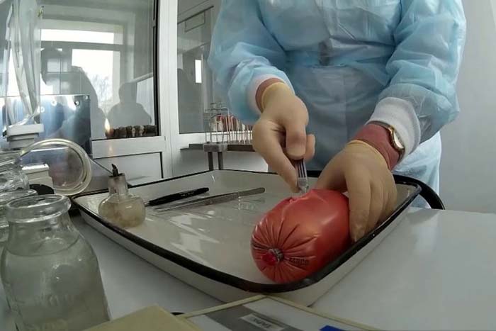 В России разработали методику определения фермента трансглютаминазы в колбасе