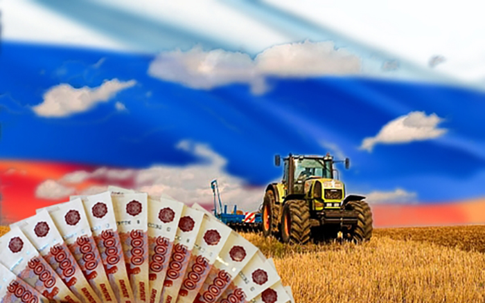 Власти Петербурга пообещали поддержать сельхозпроизводителей субсидиями