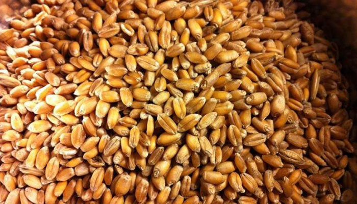 Зачем Минсельхоз ограничивает вывоз зерна?