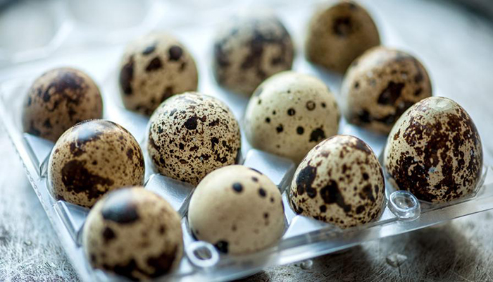 Целебные свойства перепелиных яиц