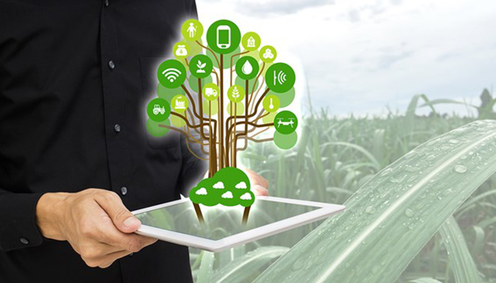 Какие инновационные технологии хотят внедрить в сельское хозяйство?
