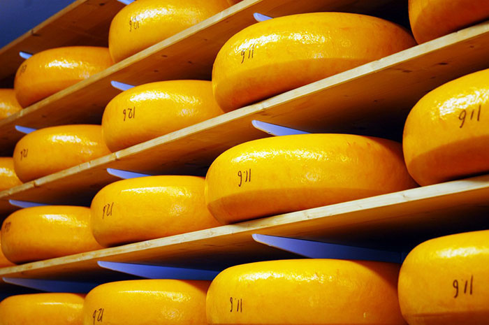 ​Каждый пятый сыр в Германии показывает положительную реакцию на бруцеллез
