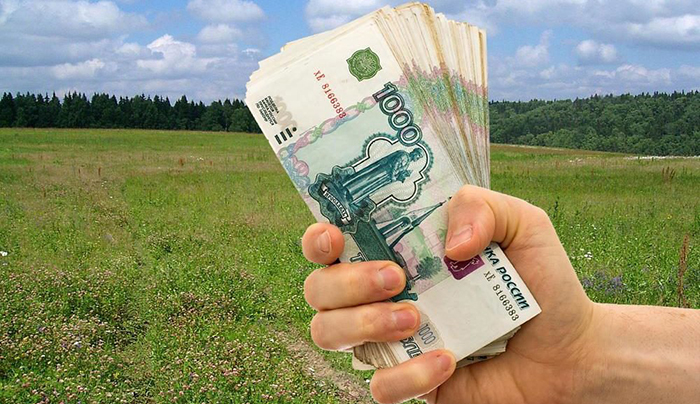 Крымским студентам выплатят по 250 тысяч рублей за работу в селе