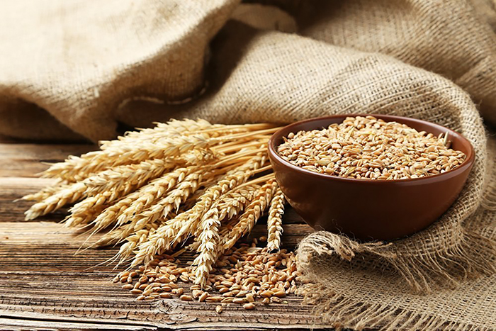 ​Минсельхоз РФ озвучил минимальные цены на зерно