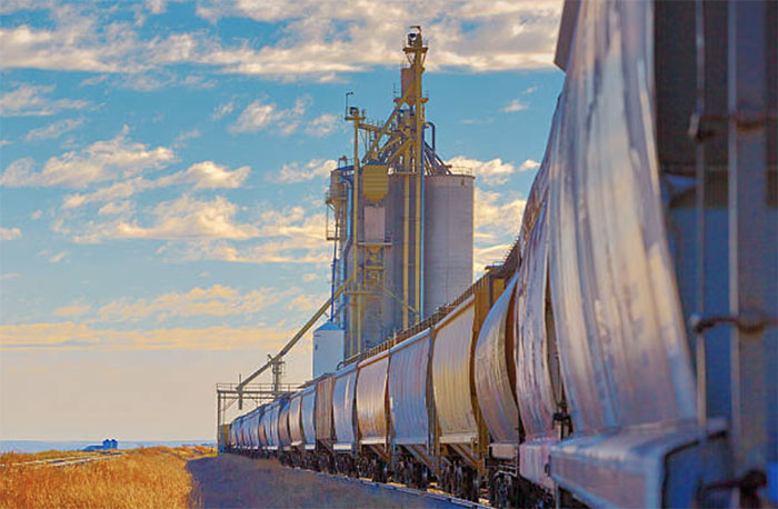 Показатели экспорт зерна из России все больше отстают от прошлогодних