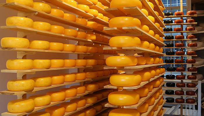 Россия может увеличить производство сыра в 2019 году на 5%