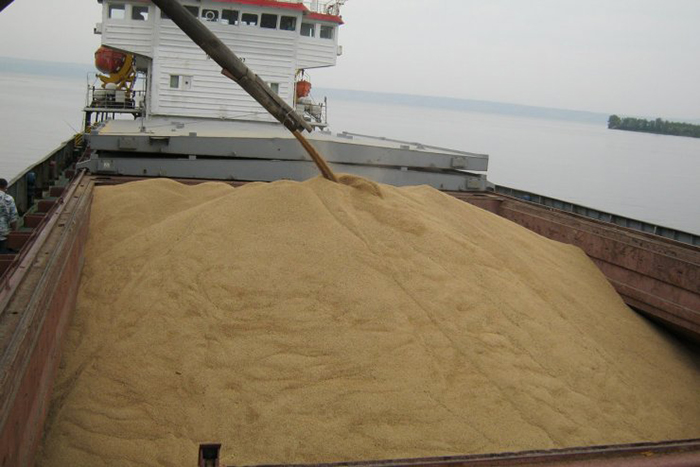 Россия в текущем сезоне займёт 4-е место в мире по экспорту зерна