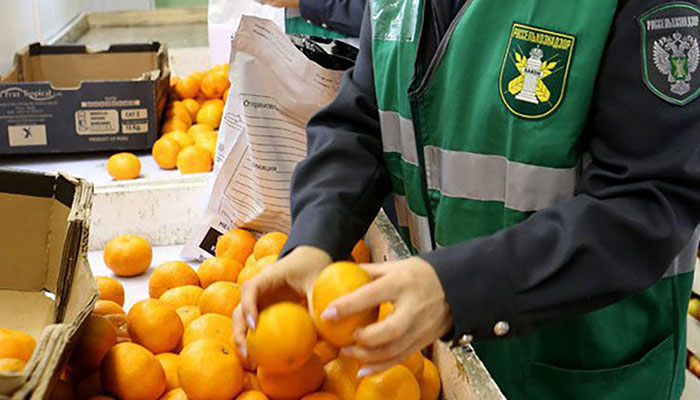 ​Российские тепличники лоббируют возврат Россельхознадзору функций пограничного контроля за качеством импортных овощей и фруктов